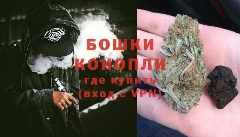 Конопля OG Kush  Будённовск 